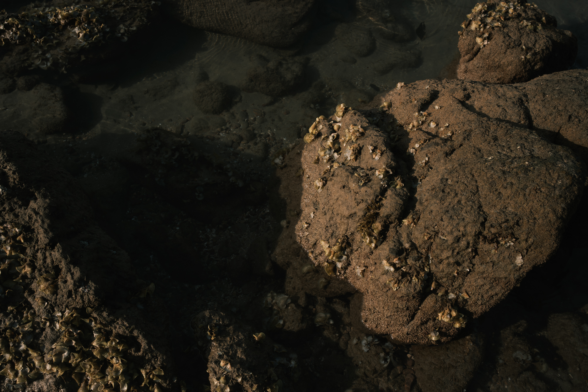 Stones photograph 39