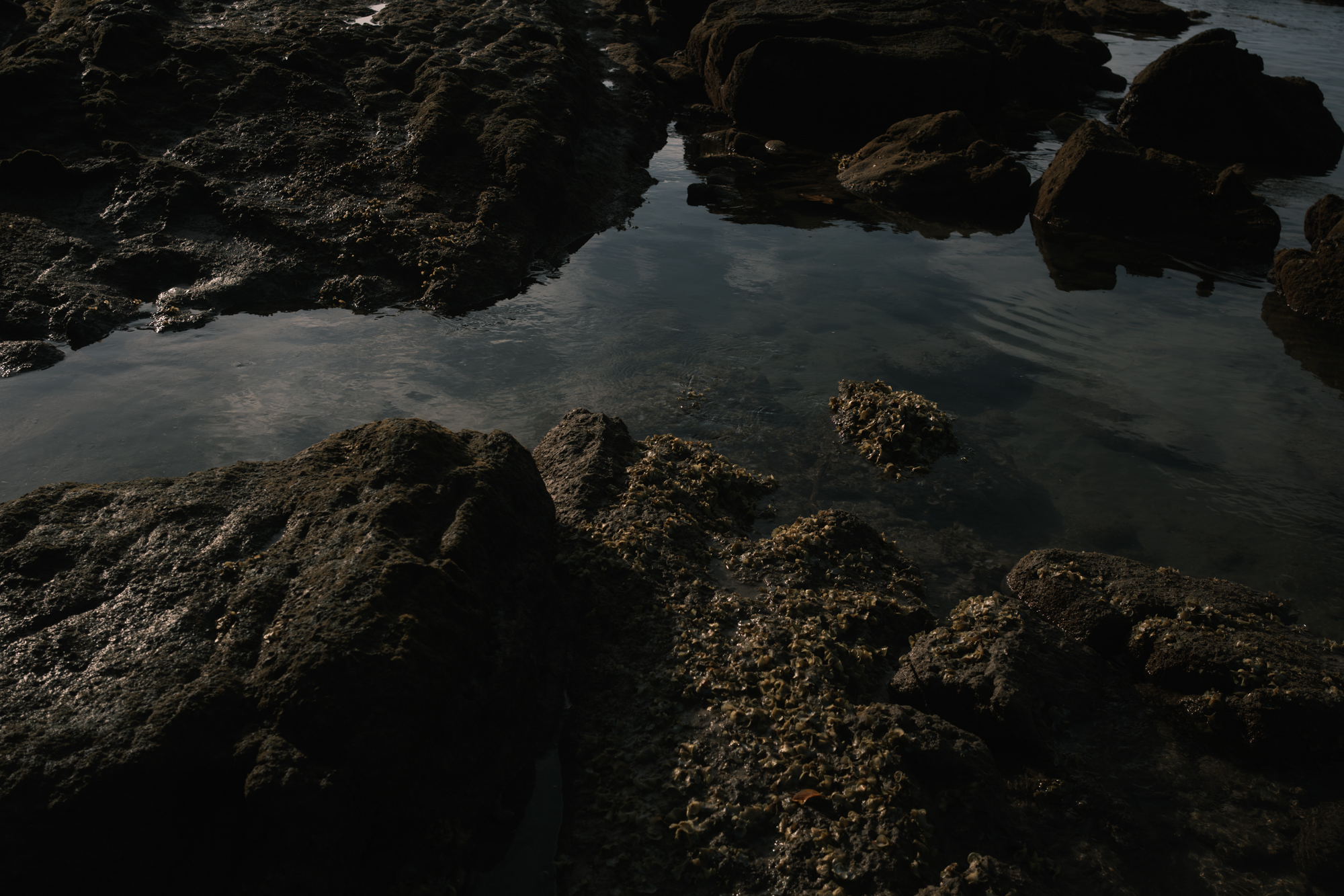 Stones photograph 40