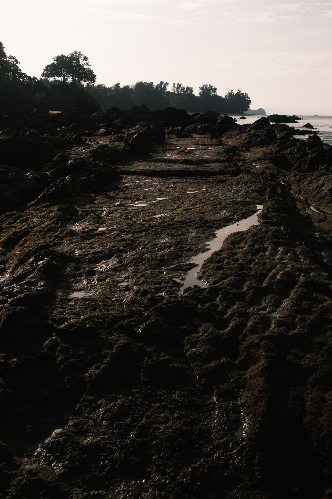 Stones photograph 42