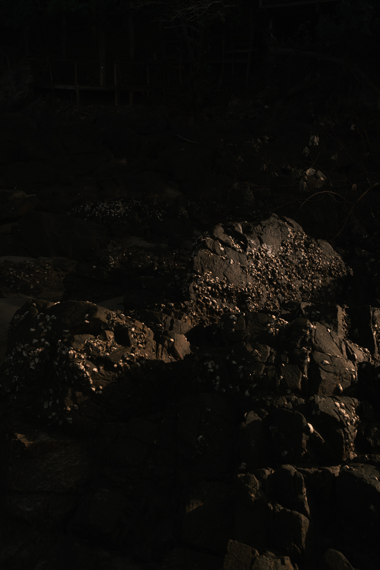 Stones photograph 45