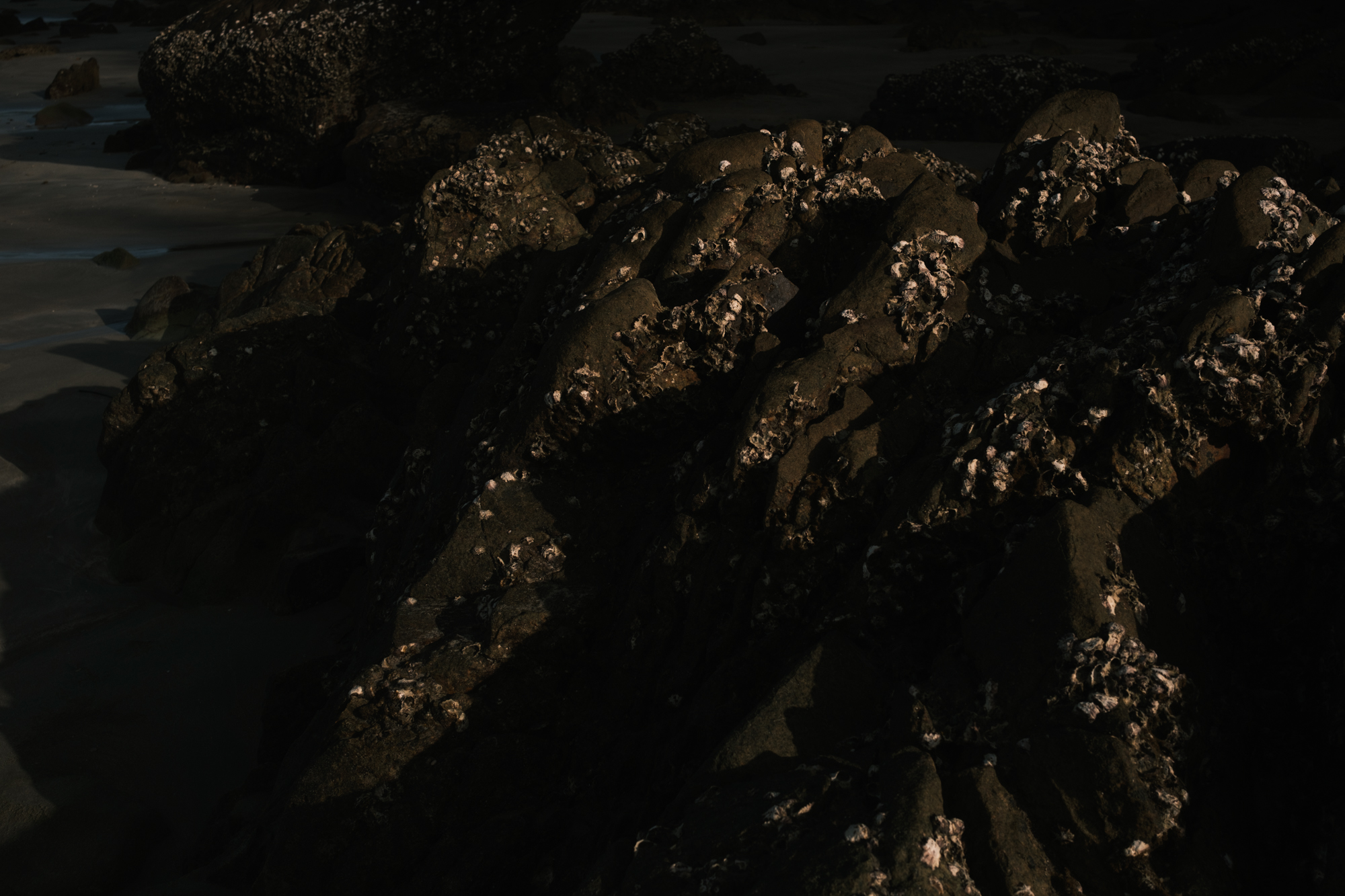 Stones photograph 48