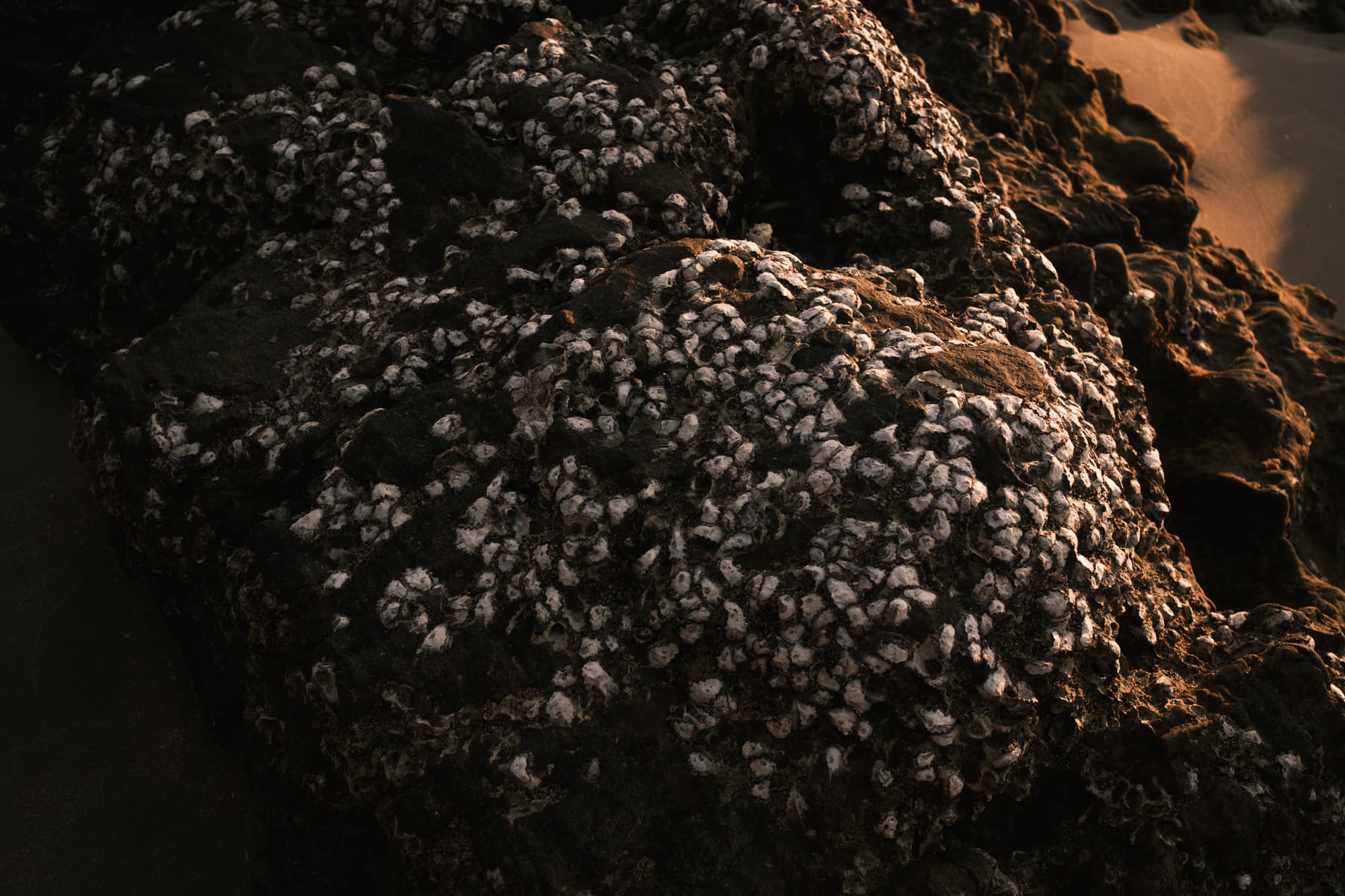 Gallery image for Stones