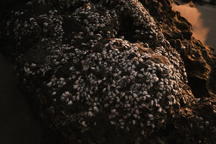 Gallery image for Stones