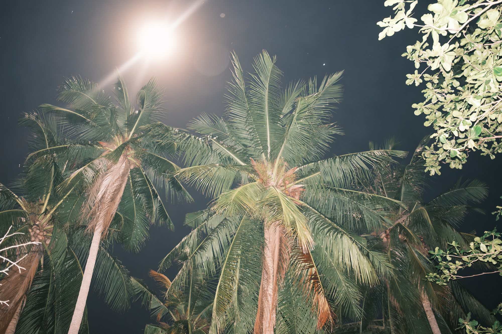 Thailand Sunset photograph 11