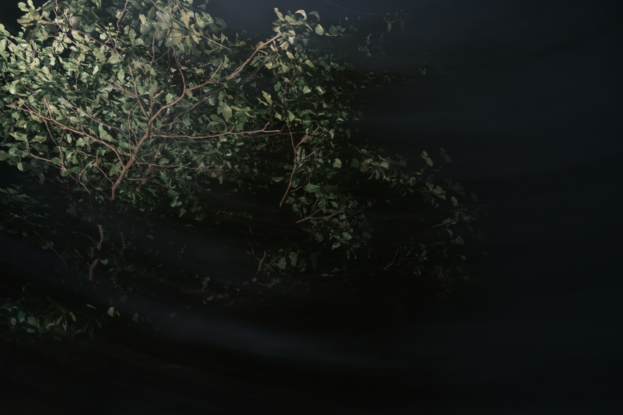 Thailand Sunset photograph 12