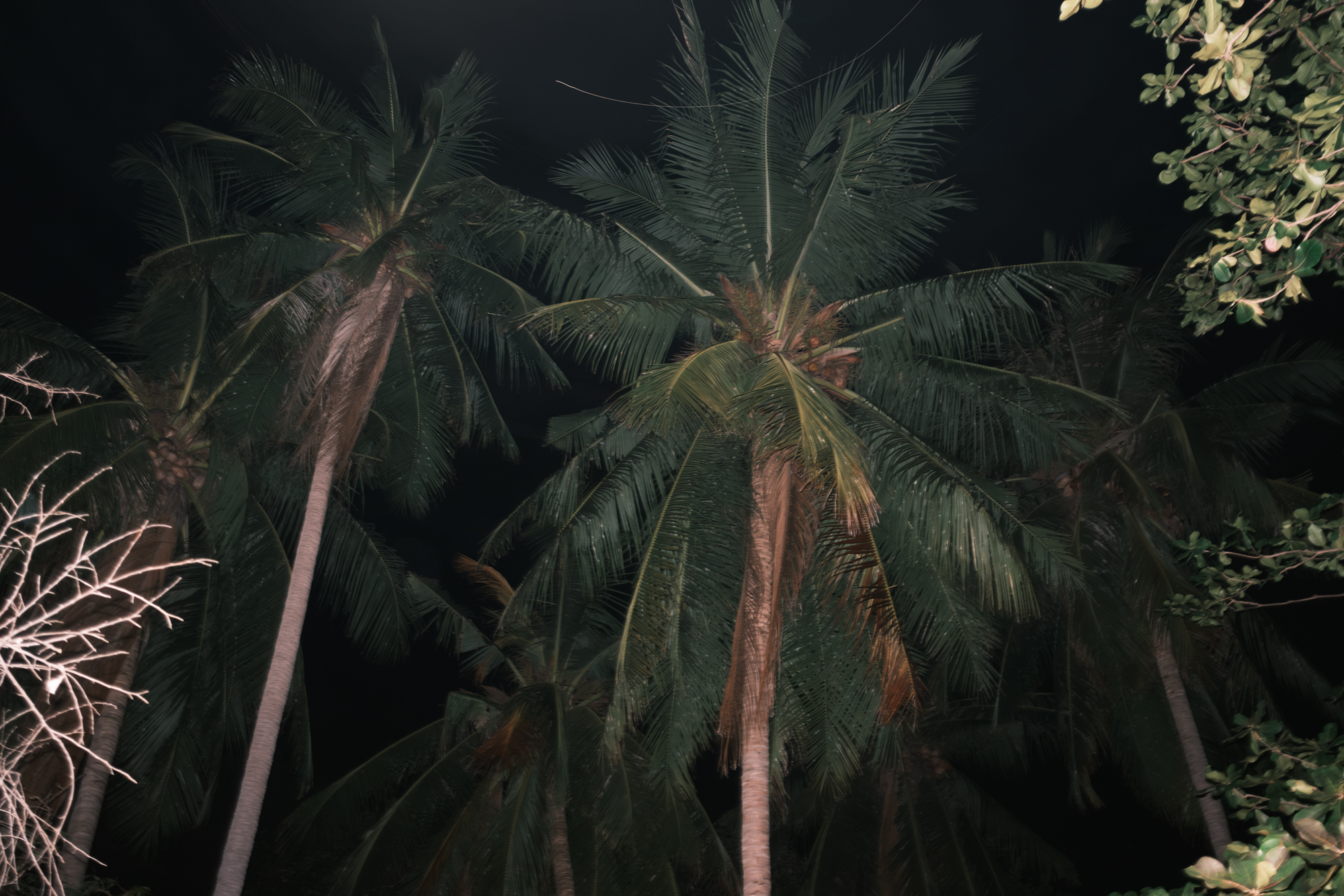 Thailand Sunset photograph 13