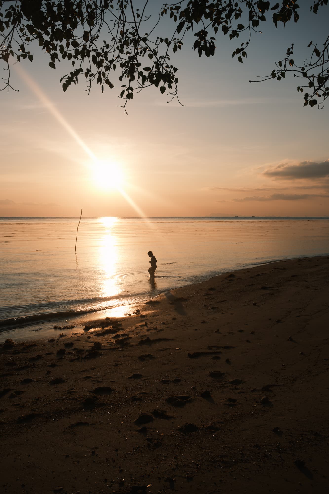 Gallery image for Thailand Sunset